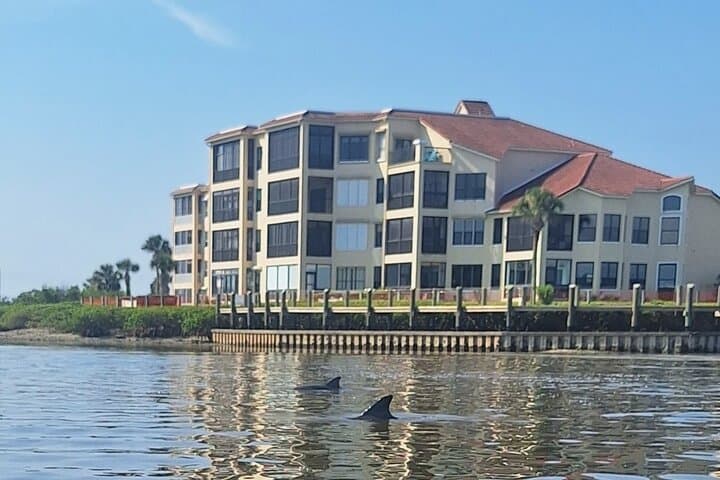 New Smyrna Mangrove Paddle & Mimosa Tour on Callalisa Creek photo 4