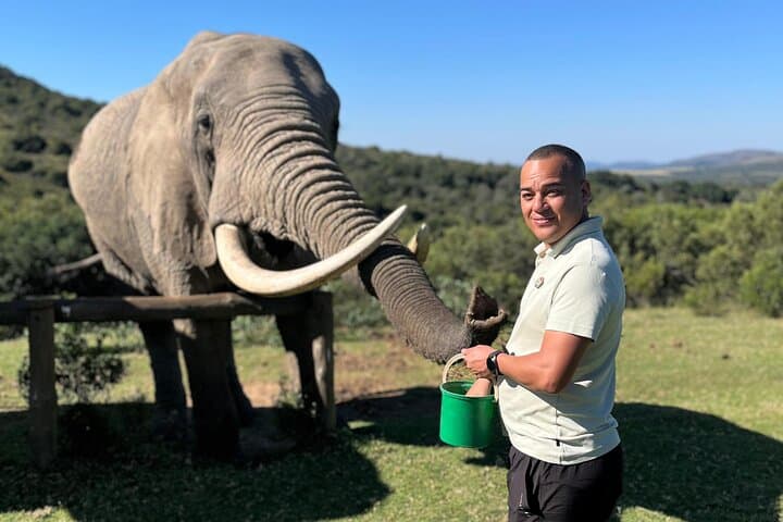 Addo Elephant Encounter & Giraffe Walk: Full-Day Tracking Safari from Port Elizabeth photo 2