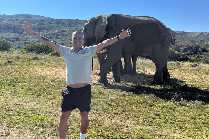 Addo Elephant Encounter & Giraffe Walk: Full-Day Tracking Safari from Port Elizabeth photo 6