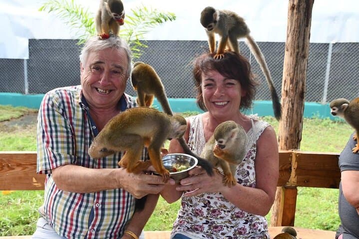 Up-Close with Squirrel Monkeys: Puerto Plata Countryside Interaction Tour photo 4