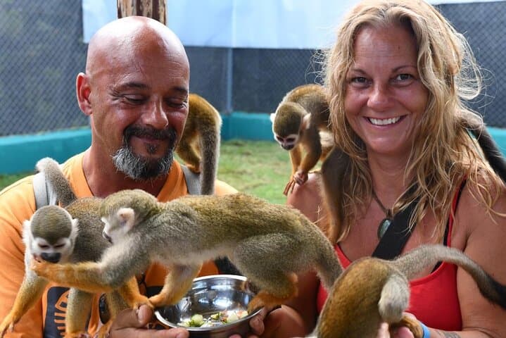 Up-Close with Squirrel Monkeys: Puerto Plata Countryside Interaction Tour