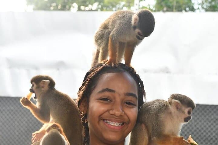 Up-Close with Squirrel Monkeys: Puerto Plata Countryside Interaction Tour photo 6