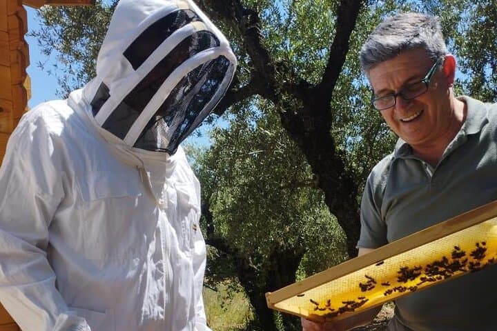 Zakynthos Bee Kingdom: Hands-On Beekeeping Experience in Tsilivi photo 5
