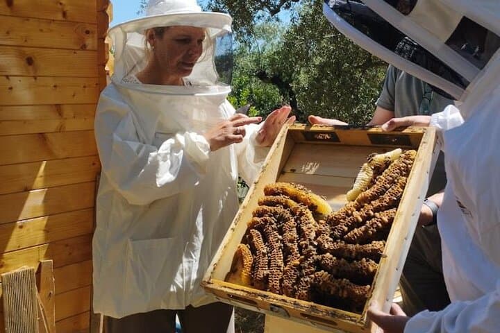 Zakynthos Bee Kingdom: Hands-On Beekeeping Experience in Tsilivi photo 2