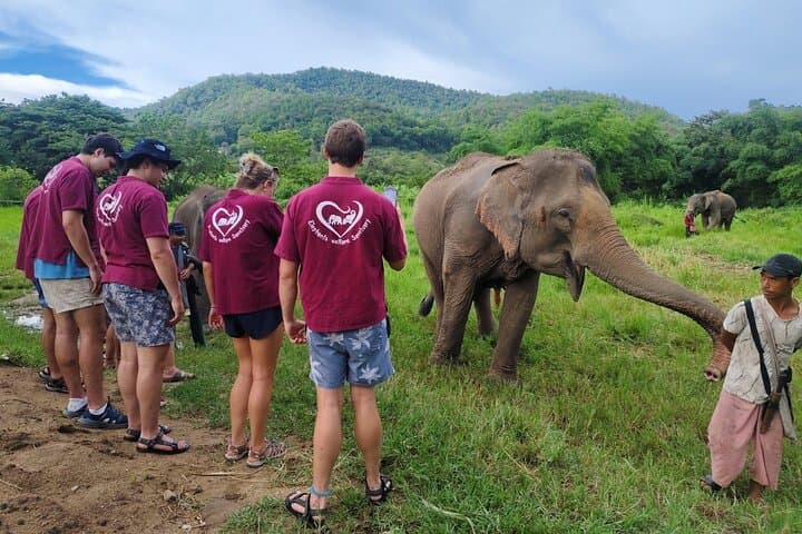Chiang Mai Highlights: 2-Day Homestay with Elephants, Doi Suthep & Sticky Waterfalls