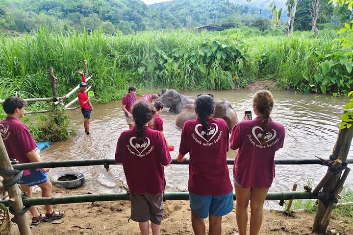 Chiang Mai Highlights: 2-Day Homestay with Elephants, Doi Suthep & Sticky Waterfalls photo 3