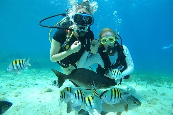 First-Time Scuba at Chankanaab: Guided Discovery Dive and Lunch in Cozumel
