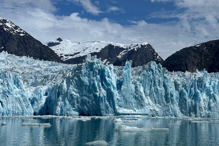 Wrangell to LeConte Glacier: Iceberg, Fjord & Wildlife Marine Sightseeing photo 3