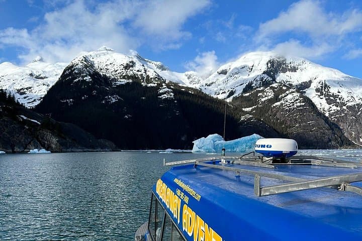 Wrangell to LeConte Glacier: Iceberg, Fjord & Wildlife Marine Sightseeing photo 2