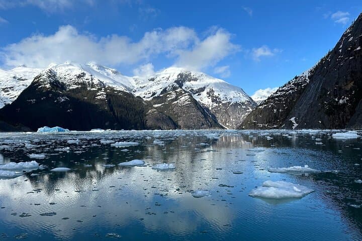 LeConte Glacier Cruise and Petersburg Norwegian Town Exploration photo 4