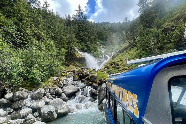 Wrangell to LeConte Glacier: Iceberg, Fjord & Wildlife Marine Sightseeing photo 1