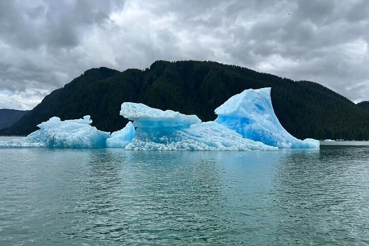 LeConte Glacier Cruise and Petersburg Norwegian Town Exploration photo 6