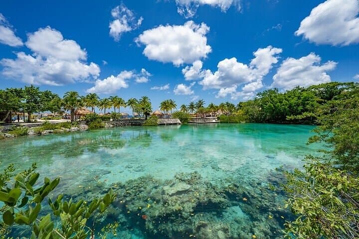 Full-Day Chankanaab Park All-Inclusive: Snorkel, Tequila & Mexican Buffet in Cozumel photo 5