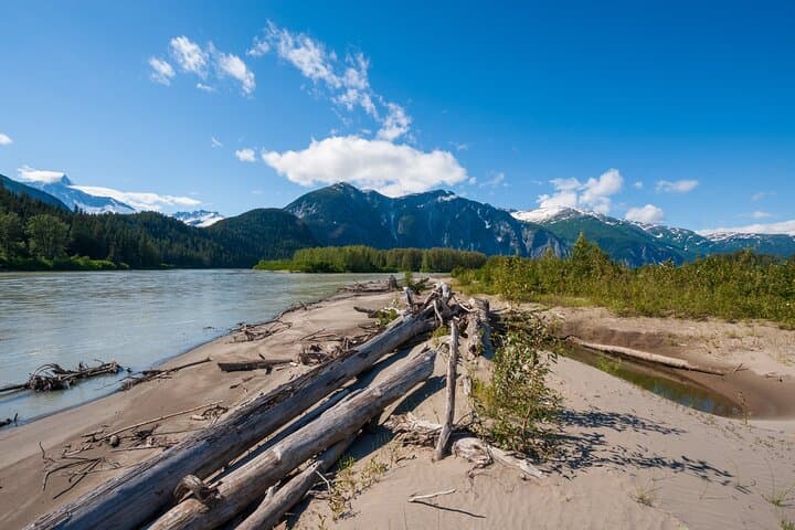 Stikine River Wilderness Cruise to Shakes Glacier from Wrangell