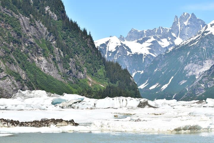 Stikine River Wilderness Cruise to Shakes Glacier from Wrangell photo 2