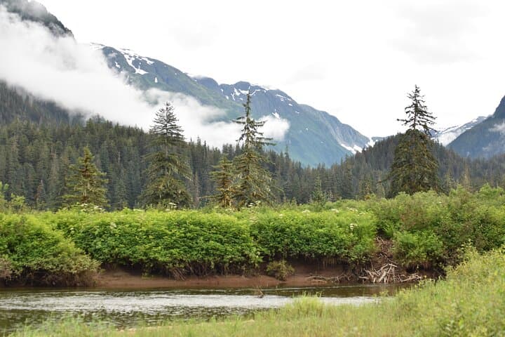 Stikine River Wilderness Cruise to Shakes Glacier from Wrangell photo 5