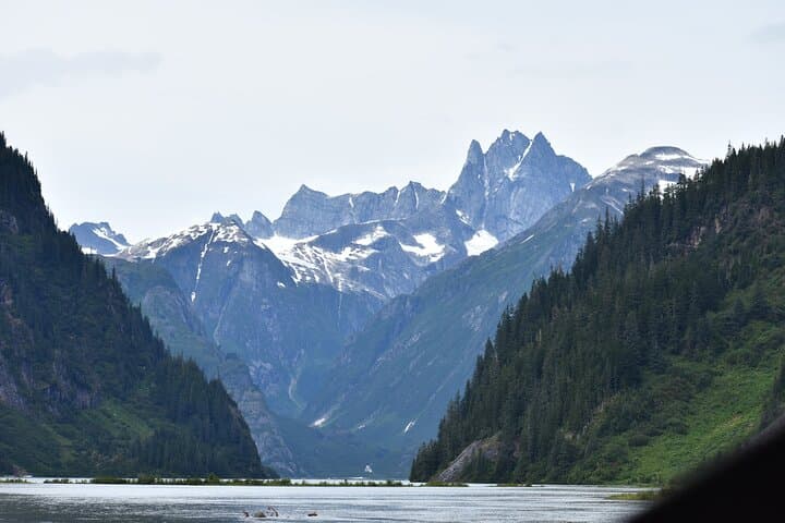 Stikine River Wilderness Cruise to Shakes Glacier from Wrangell photo 6