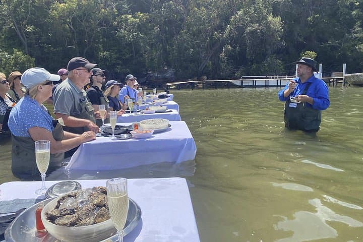 Hawkesbury River Oyster Lease: In‑Water Dining & Terrigal Seaside Visit photo 3