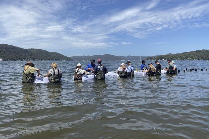 Hawkesbury River Oyster Lease: In‑Water Dining & Terrigal Seaside Visit photo 4
