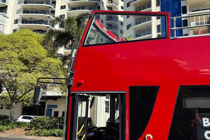 Cairns Hop-On Hop-Off Bus: Easy Stops at the Esplanade, Aquarium & Botanic Gardens photo 3
