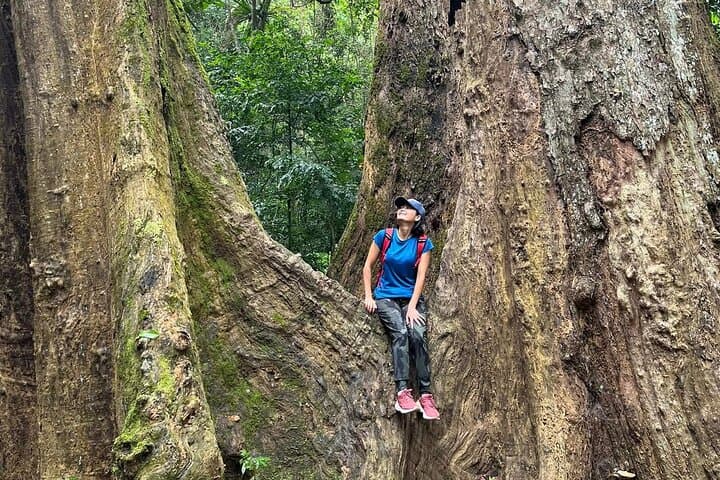 Cuc Phuong Scenic Jungle Trek: Day Tour from Ninh Binh photo 3