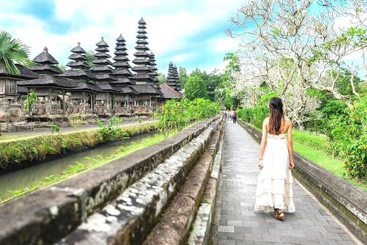 Jatiluwih Rice Terraces & Bali Jungle Swing Day Tour photo 6