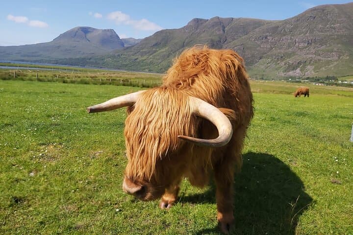 Private Loch Ness & Highlands Luxury Day Tour from Edinburgh photo 2
