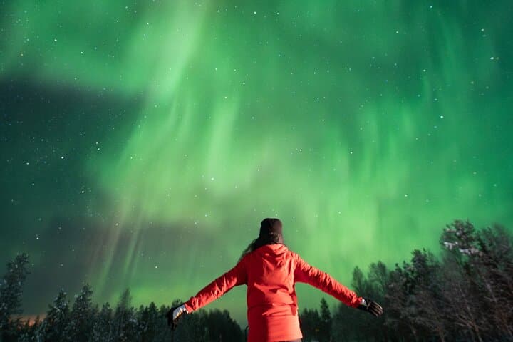 Rovaniemi Northern Lights Chase — Guaranteed Small‑Group Aurora Tour