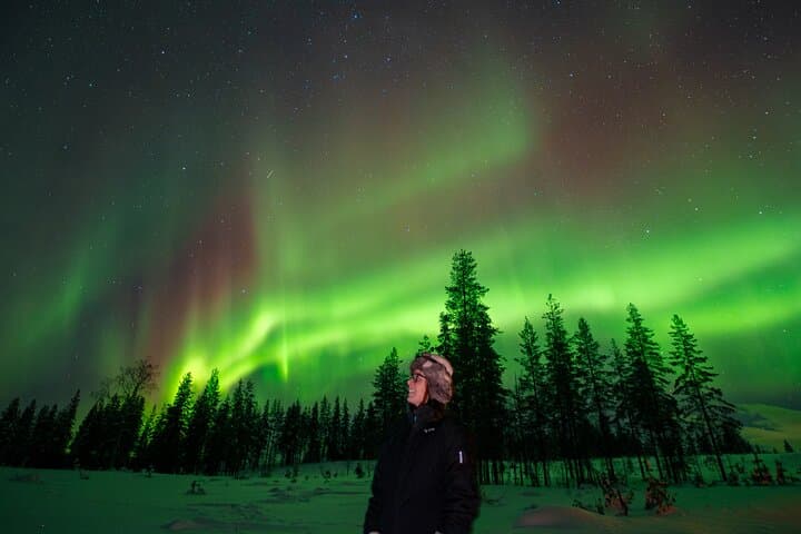Rovaniemi Northern Lights Chase — Guaranteed Small‑Group Aurora Tour photo 3