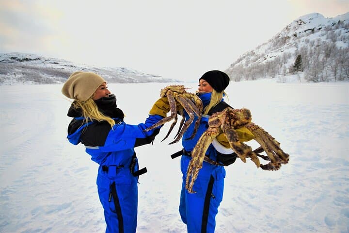 Arctic King Crab Safari and Snowhotel Visit from Saariselkä photo 3
