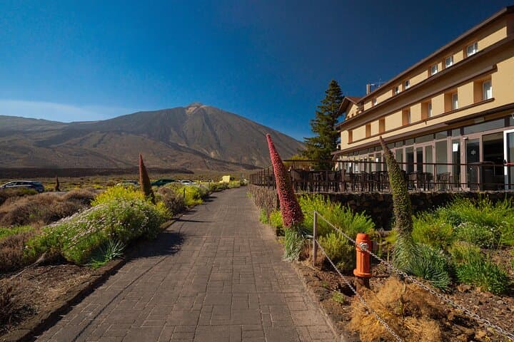 Tenerife Wonder Walk: Teide Volcano and Anaga Cloud Forest in One Day photo 6