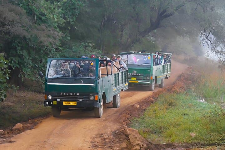 Ranthambore Day Safari from Jaipur: How to Spot Tigers and Plan the Trip photo 4
