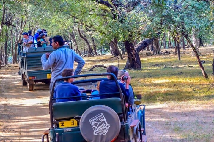 Ranthambore Day Safari from Jaipur: How to Spot Tigers and Plan the Trip photo 2