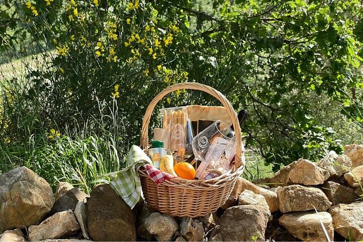 Maliosa Natural Picnic: Wine, Local Fare & Sunset Views in Maremma photo 4