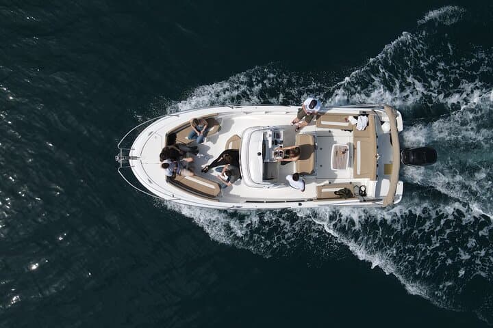 Private Dolphin Cruise from Vrsar — 90-Minute Boat Tour to Spot Bottlenose Dolphins photo 3