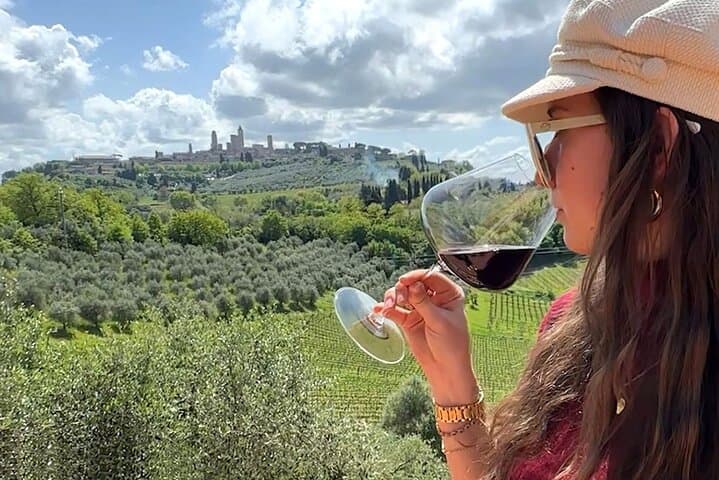 Half-Day San Gimignano & Wine Tasting from Florence
