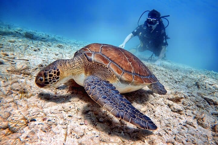 Discover Scuba Diving in Protaras — Beginner Green Bay Dives photo 2