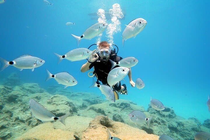 Discover Scuba Diving in Protaras — Beginner Green Bay Dives photo 4