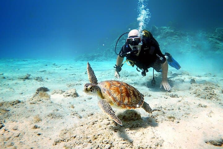 Discover Scuba Diving in Protaras — Beginner Green Bay Dives photo 6