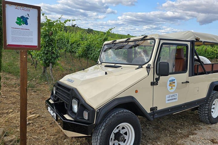 Jeep Tour in Tavira & Santa Luzia with Wine Tasting — Ria Formosa Highlights