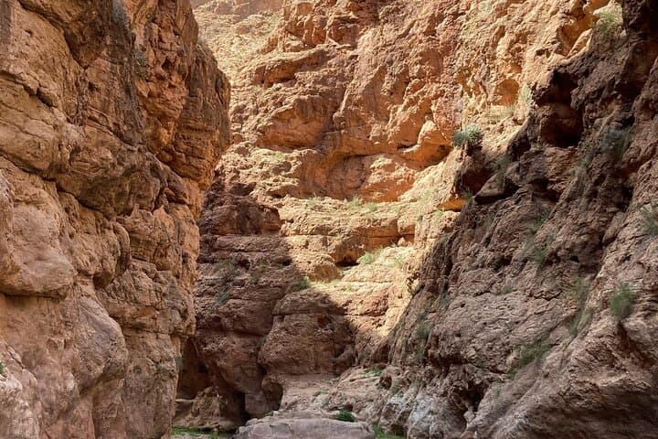 Monkey Fingers Canyon Hike — 2–3 Hour Trail in Morocco's Dadès Valley photo 3