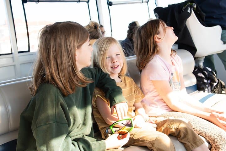 St. Augustine Dolphin & Wildlife Adventure — 90-Minute Estuary Eco Cruise photo 3