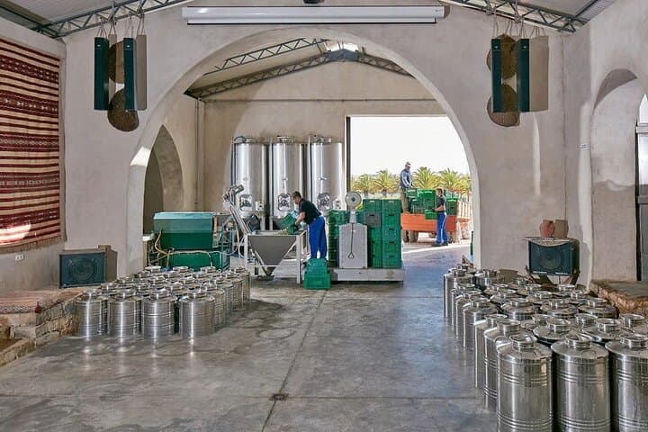 Olive Oil Lagar Tour in Moncarapacho: Olive Tasting & Lagar Visit in the Algarve photo 5