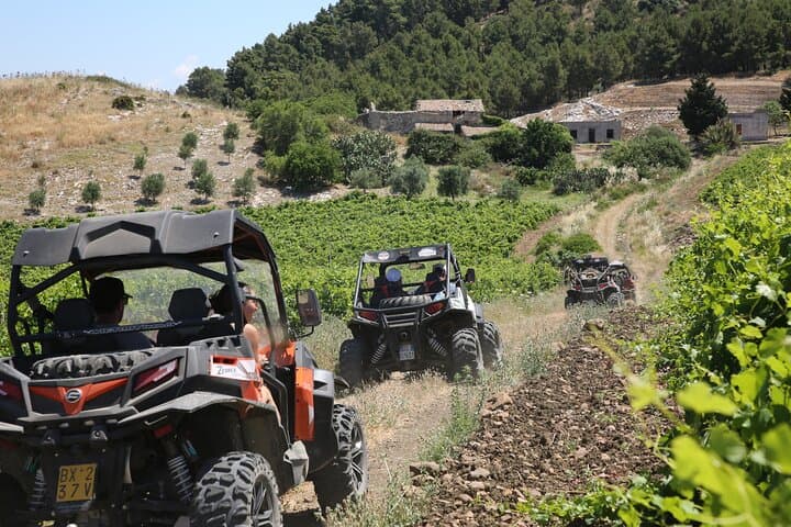 Five Senses Off-Road: Segesta Buggy Adventure Through Sicily’s Wild Countryside