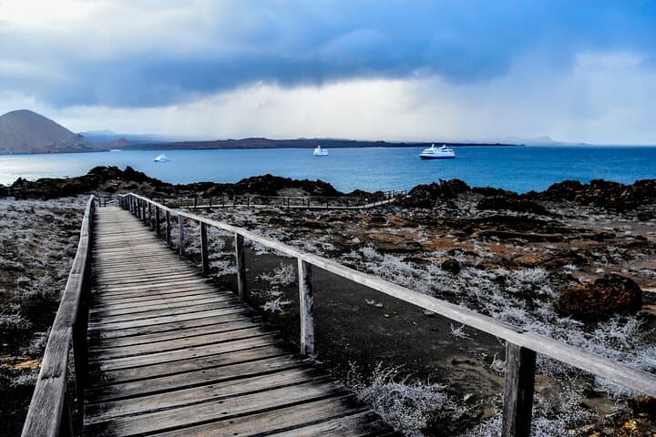 Day Trip to Bartolomé Island & Sullivan Bay — Pinnacle Rock Hike and Snorkel photo 2