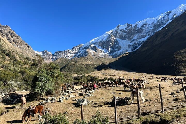 Humantay Lake Full-Day Hike from Cusco — Turquoise Laguna at 4,200 m photo 5