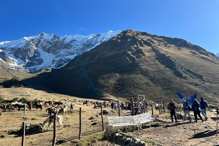 Humantay Lake Full-Day Hike from Cusco — Turquoise Laguna at 4,200 m photo 6