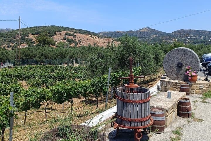Elafonisi Beach & Cretan Flavors — Private Day Tour from Chania photo 3