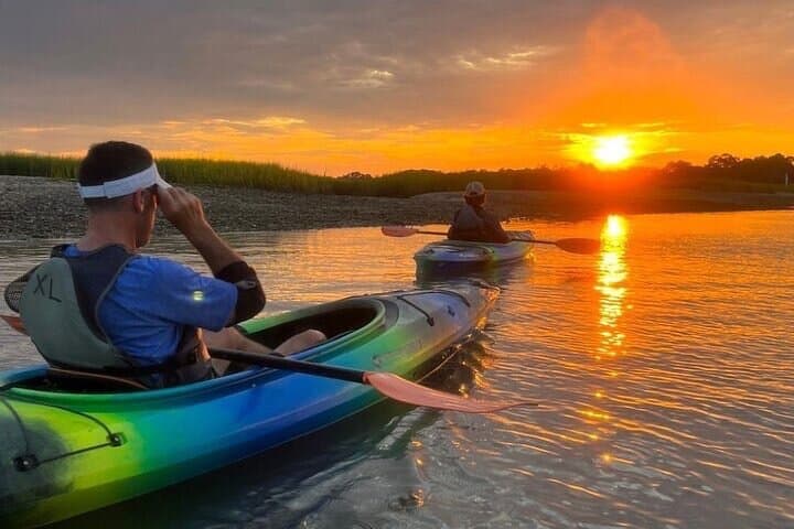 Rent Kayaks in Hilton Head Island: Paddle Broad Creek Estuary to Find Dolphins photo 5