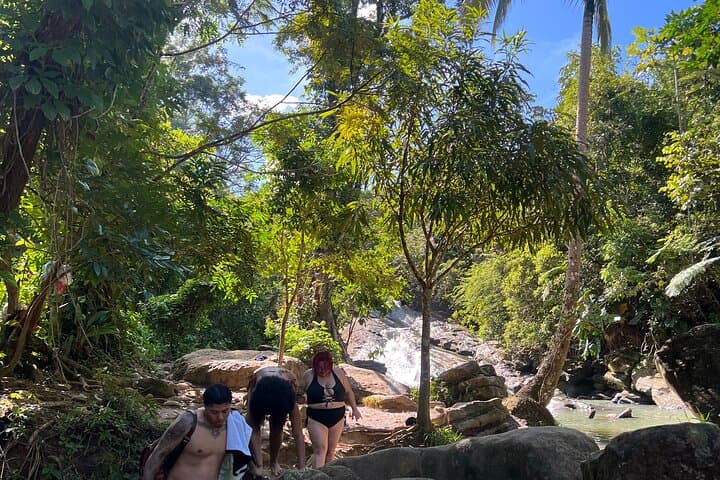 El Yunque Rainforest and Luquillo Beach Private Tour — Hike Waterfalls & Kiosks photo 6